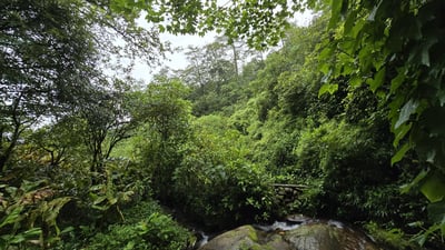 サパの山小屋から──デジタルデトックスのすすめ